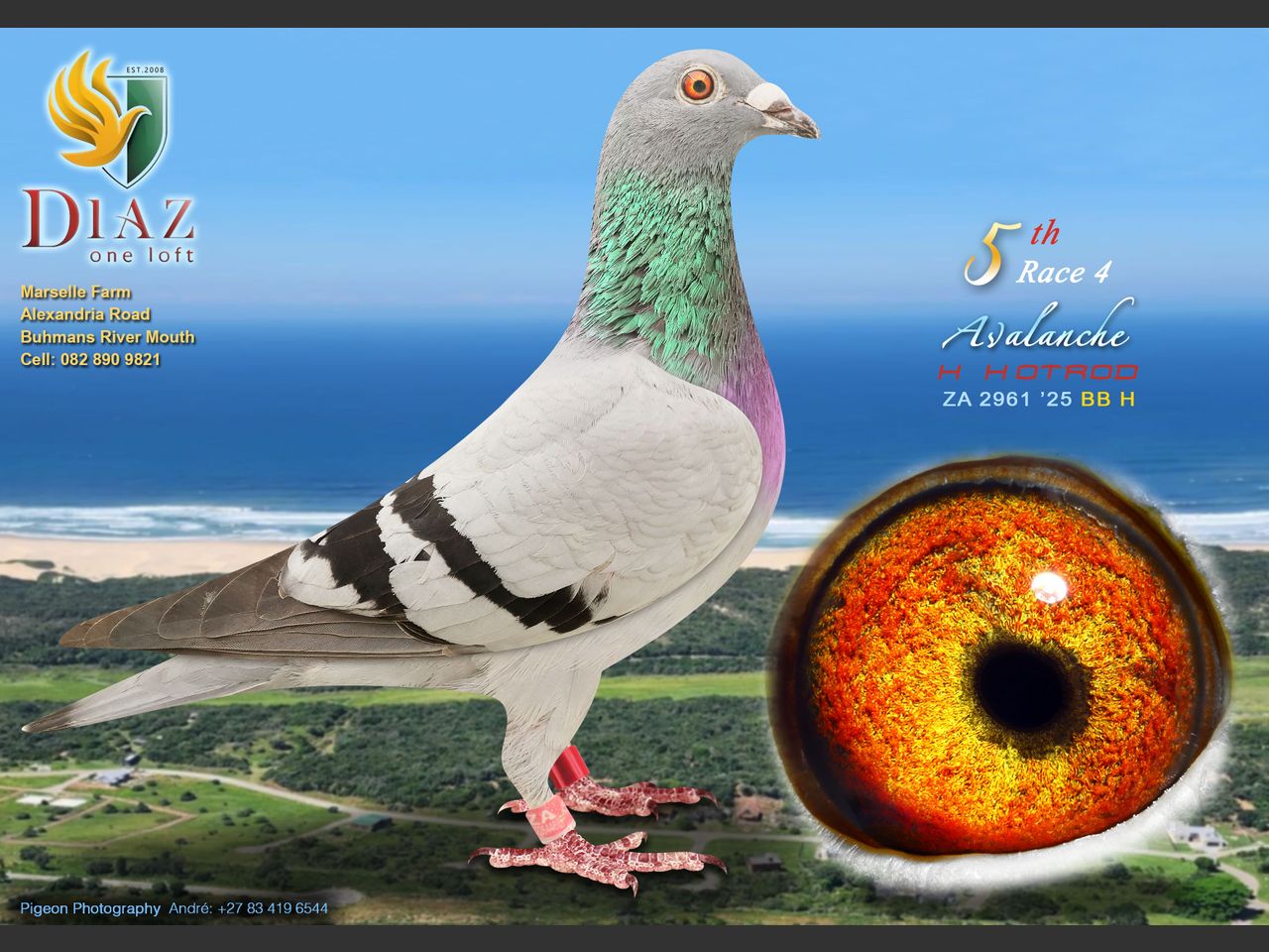 images
