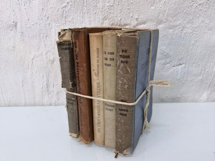 Vintage Afrikaans Fiction Book Bundle Classic Novels