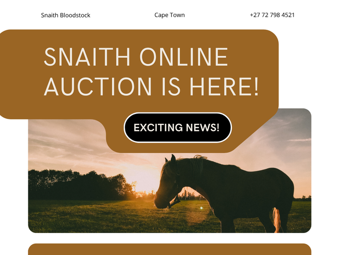 Bloodstock Auction #2