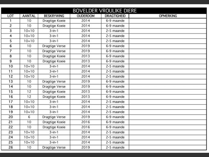 Commercial Females | Bovelder