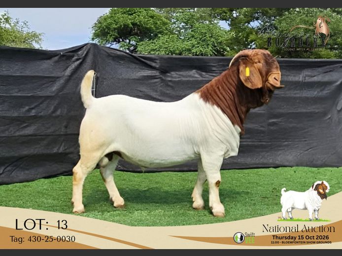 430-25-0030 | Booysen Boerdery