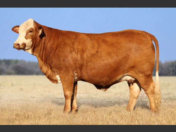WWL23320 | WP LUBBE