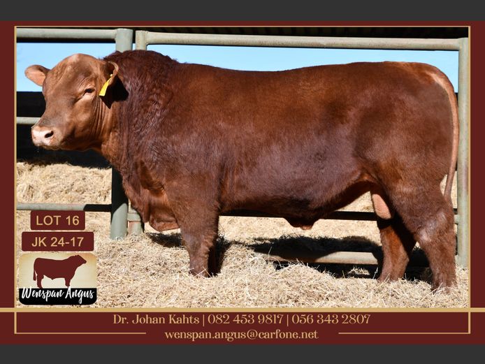 JK240017 | J. KAHTS