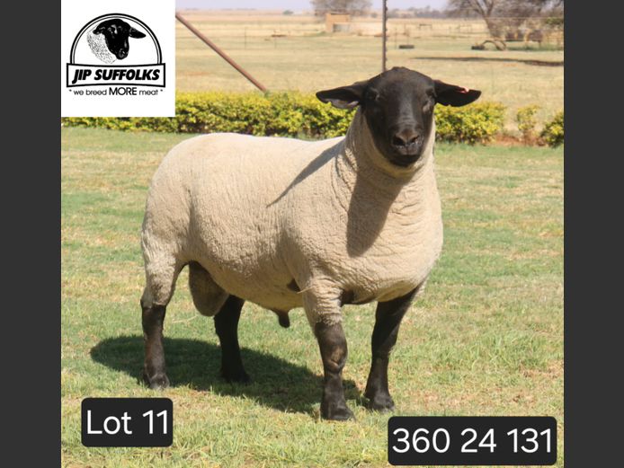 360240131 | J.I. POTGIETER