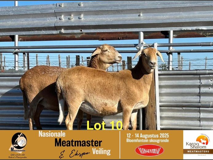 23.245 | Jacques Strydom - Karoo Shalom Meatmasters