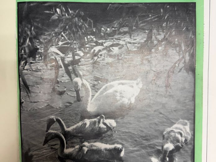 Country Life - April-June 1945 