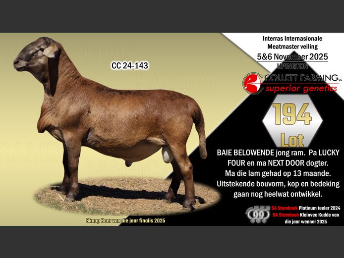 CC 24-143 | SUPERIOR GENETICS