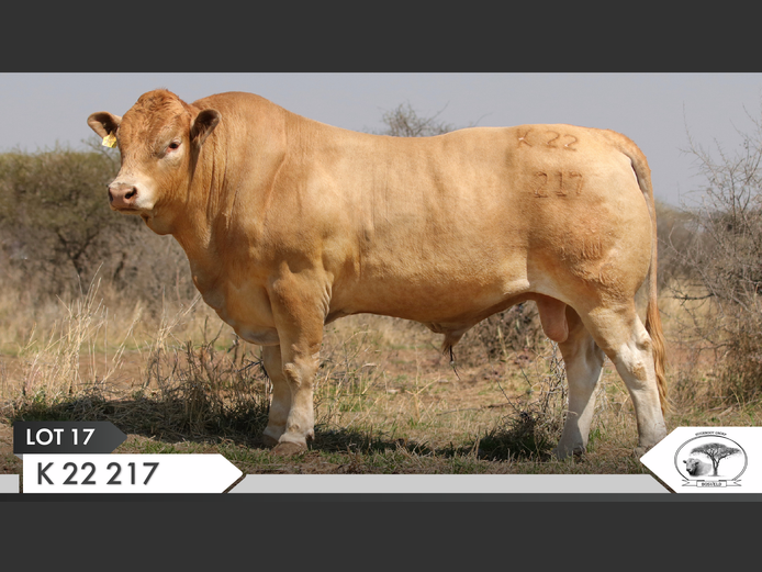 K 220217 | KOPERKOP HUGENOOT STOET