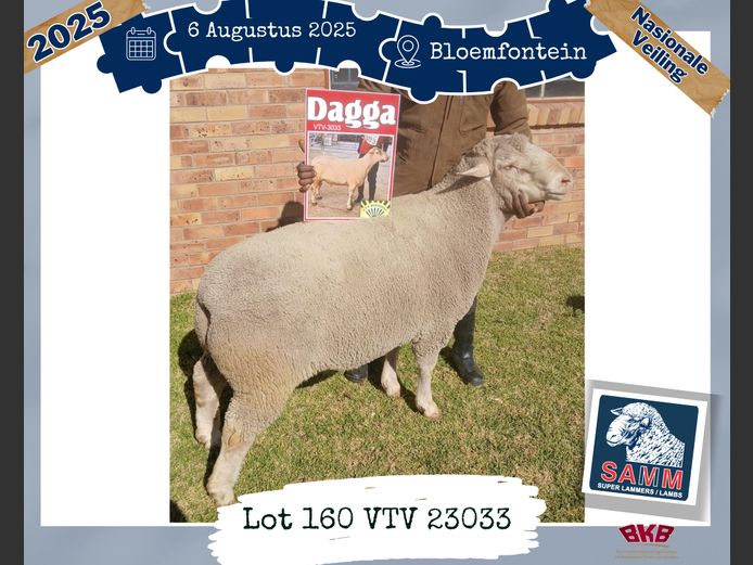 23-0033VTV | VTV BOERDERY