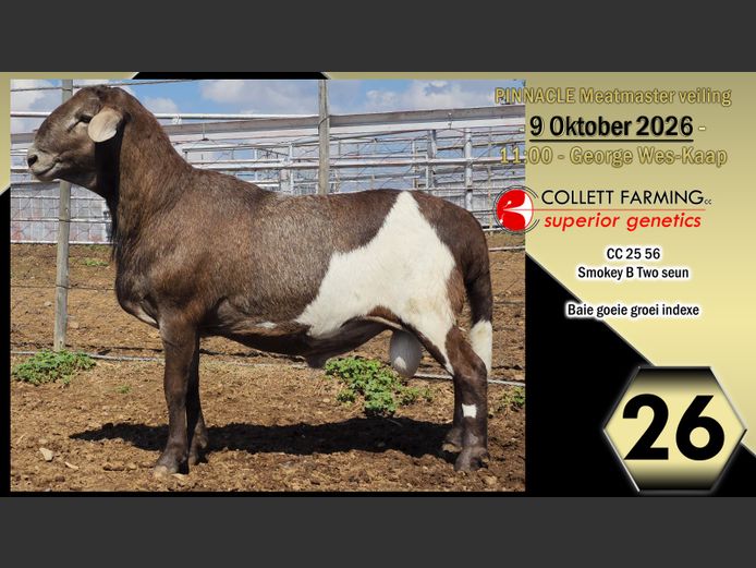 CC250056 | COLLETT FARMING CC