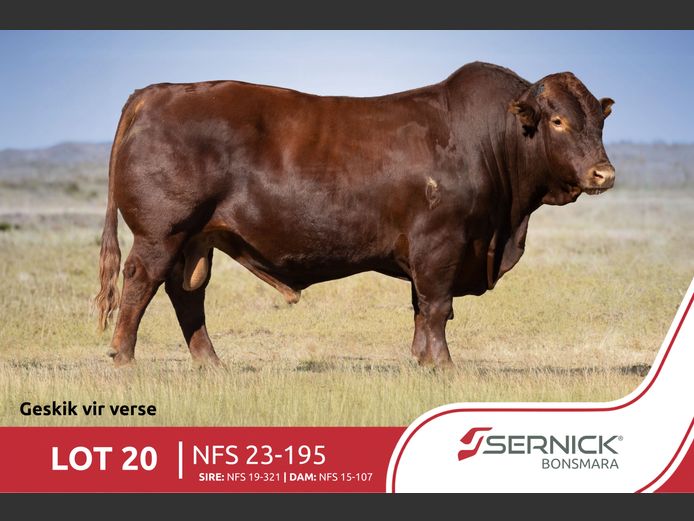 NFS 230195 | SERNICK BONSMARA STOET