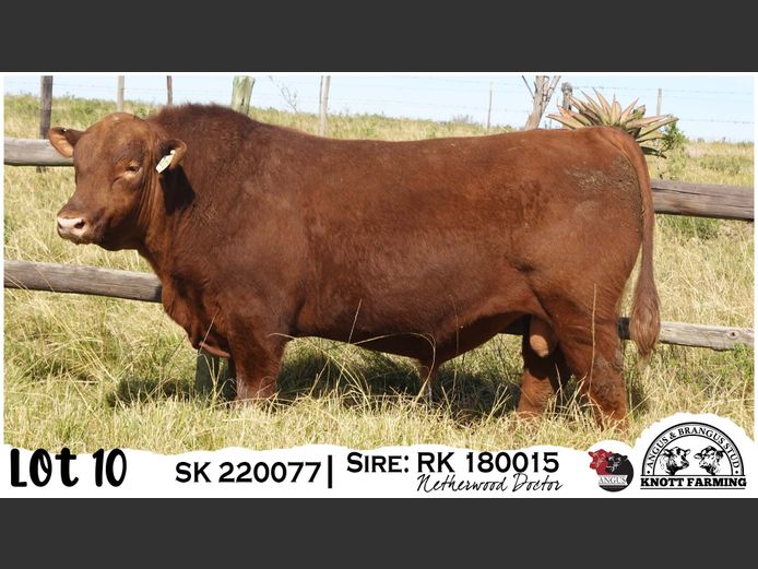 SK 220077