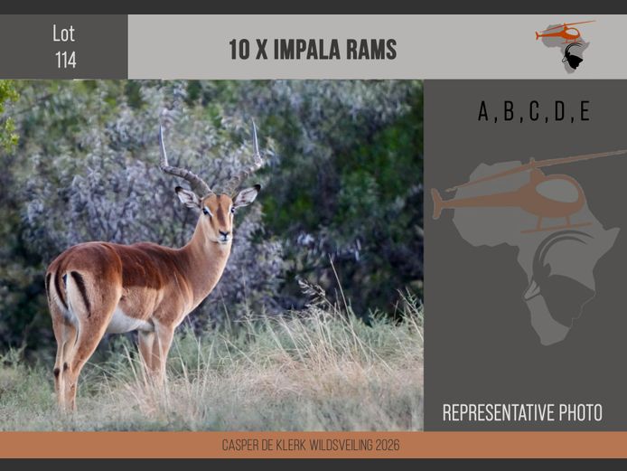 Impala