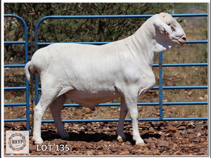 138 24 0211 | ANEL LIEBENBERG