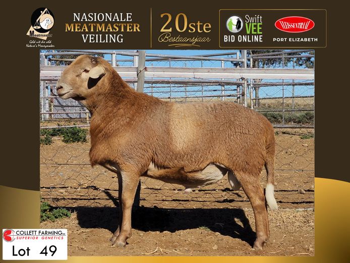 CC 250234 | COLLETT FARMING CC