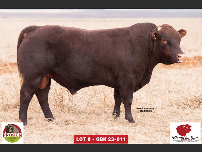 GBK 230011 | G.B. KEYSER