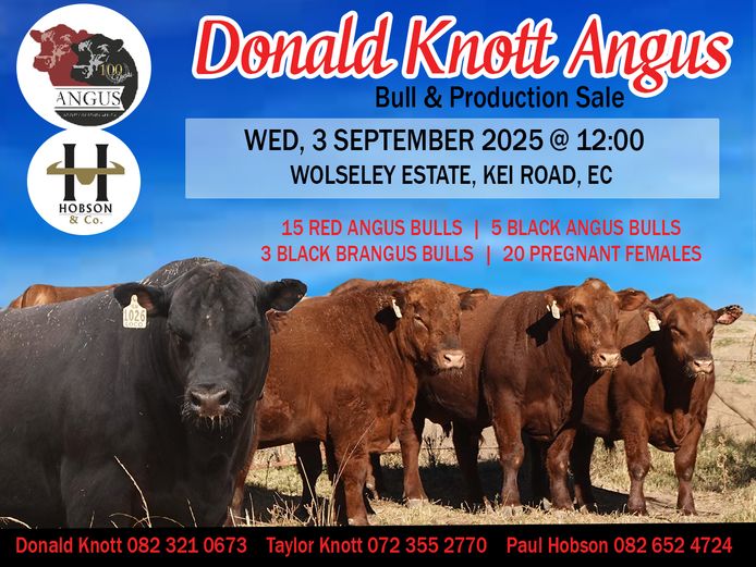 DONALD KNOTT ANGUS BULL & PRODUCTION SALE