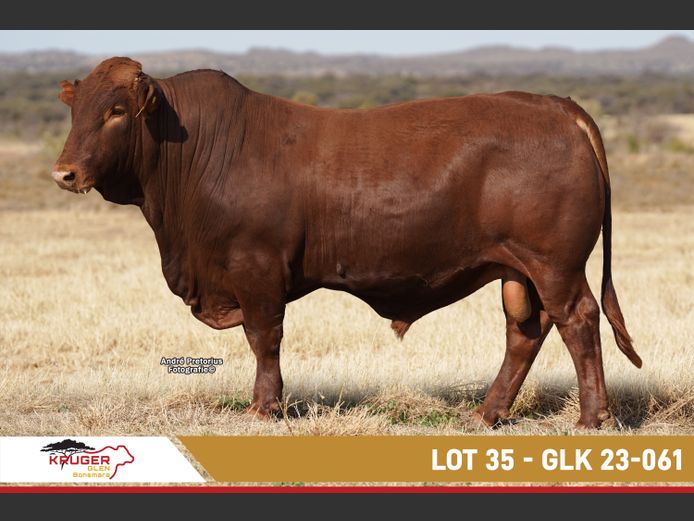 GLK230061 | KRUGER GLEN BONSMARAS