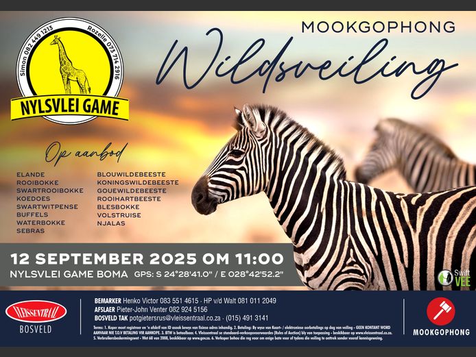 NYLSVLEI GAME TRADERS WILDSVEILING