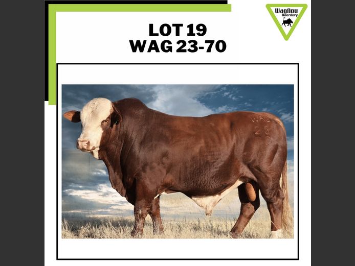 WAG 230070 | WAGNOU BOERDERY