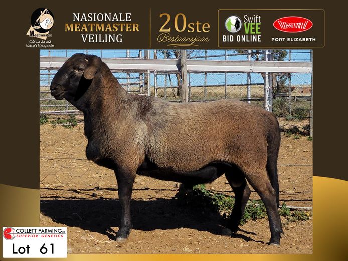 CC 250299 | COLLETT FARMING CC