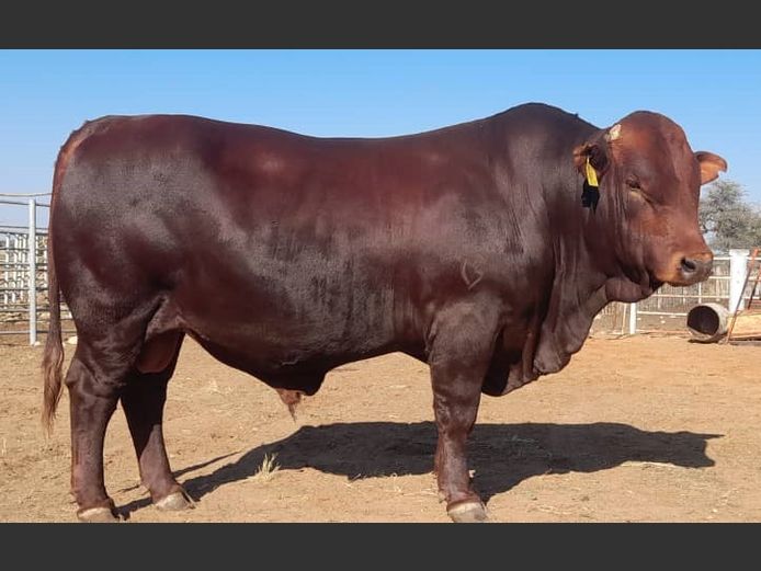 WAGB230073 | B.H.&C.MOUTON
