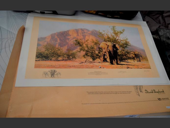 DESERT ELEPHANT PRINT PENCIL SIGNED DAVID SHEPHERD, 89 x 34cm