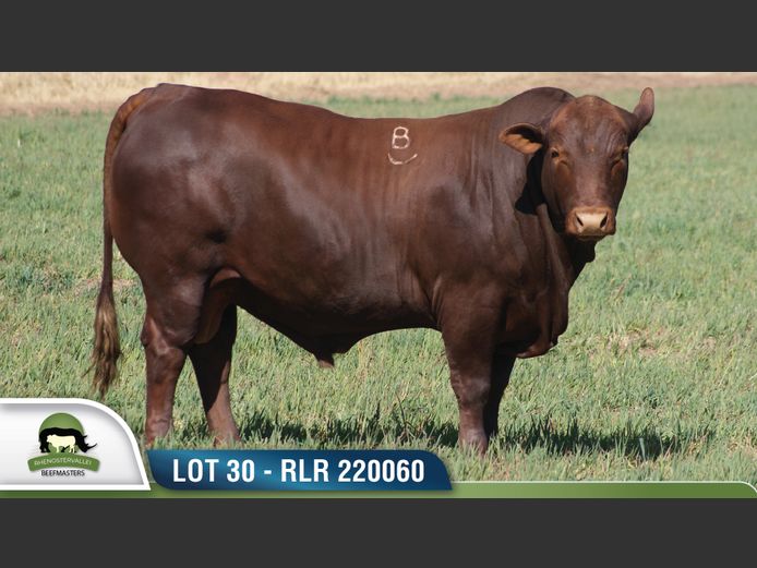 RLR 220060 | RHENOSTERVALLEI