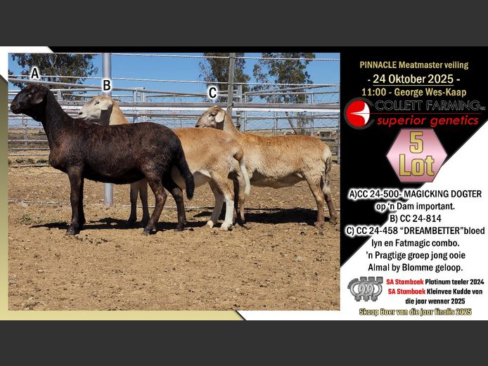 CC  240458 | COLLETT FARMING CC