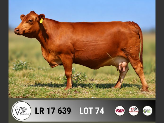 LR17639