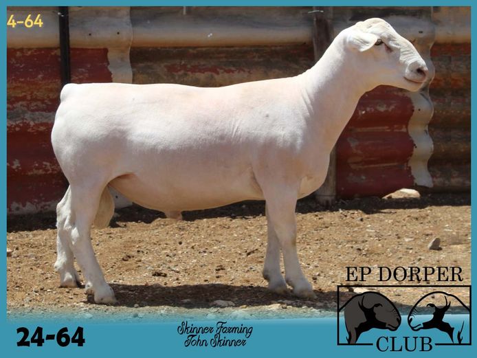 24-64 | ***John Skinner - Skinner Farming