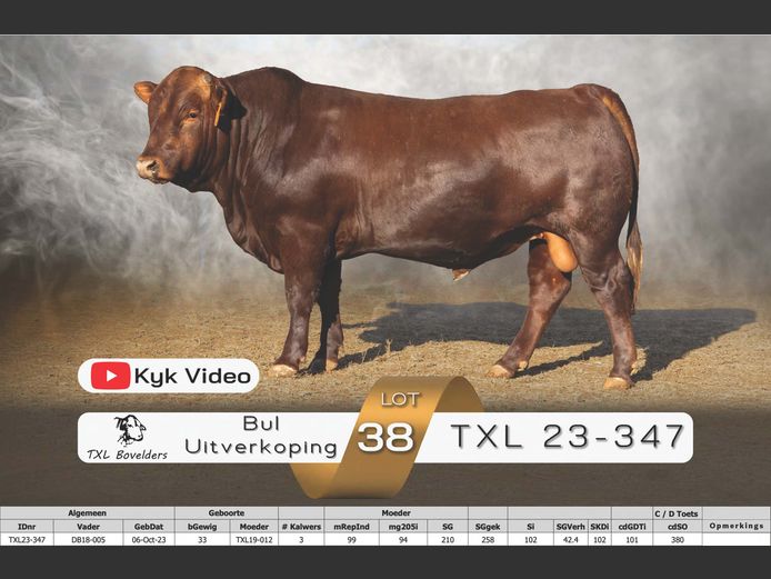 TXL23-347