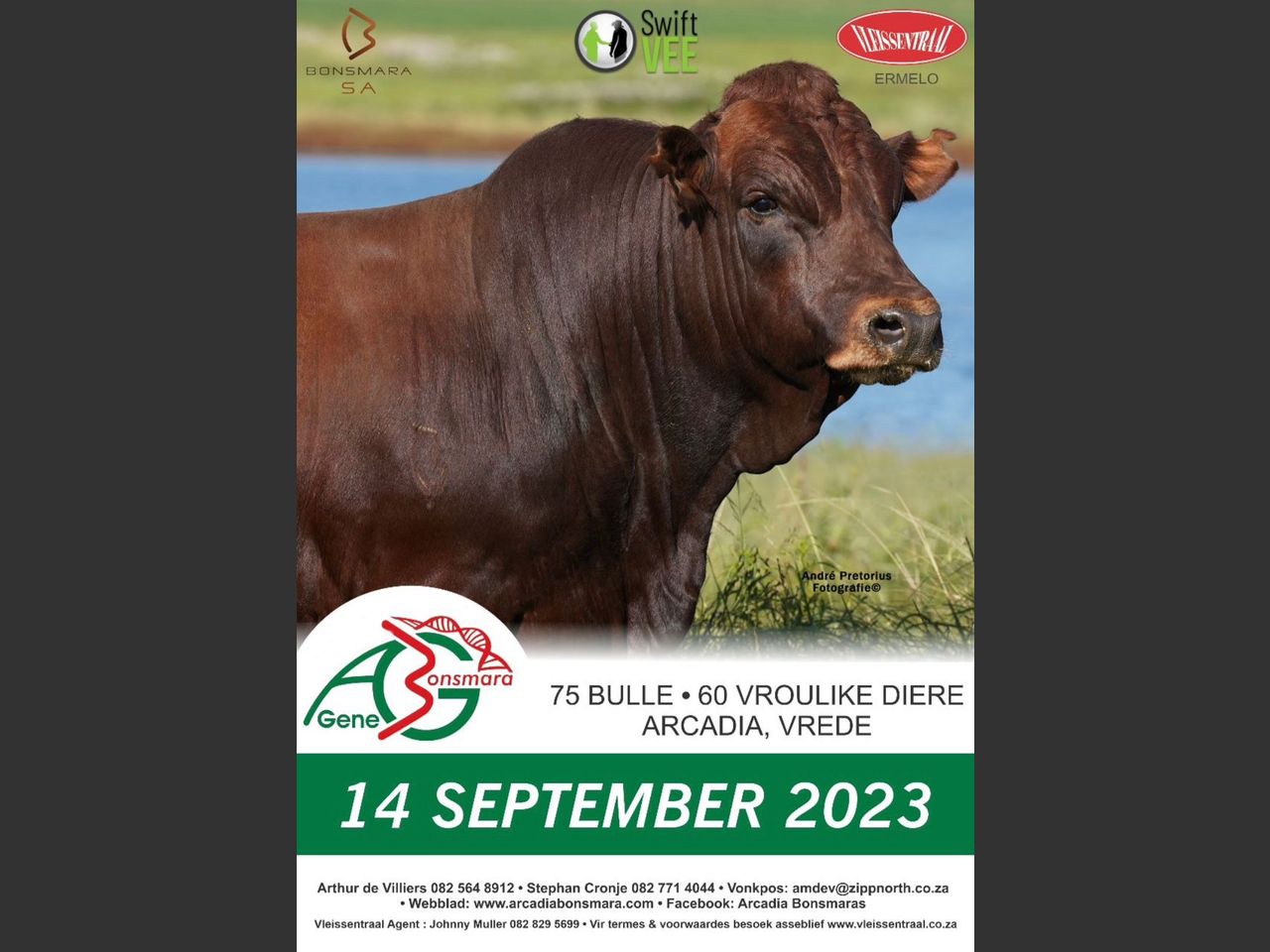 AG GENE VEILING 2023 | SwiftVEE | South Africa’s Leading Online ...