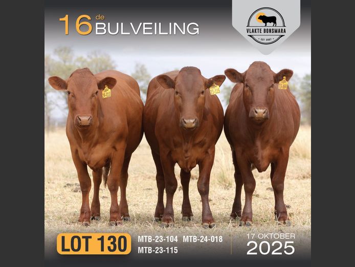Commercial Animals | MORGAN TRADING (Pty) Ltd