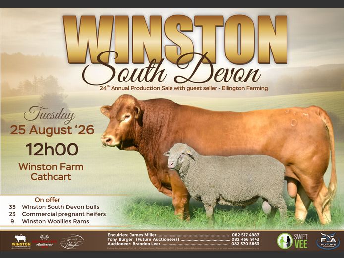 WINSTON SOUTH DEVON 24TH ANNUAL PRODUCTION SALE 