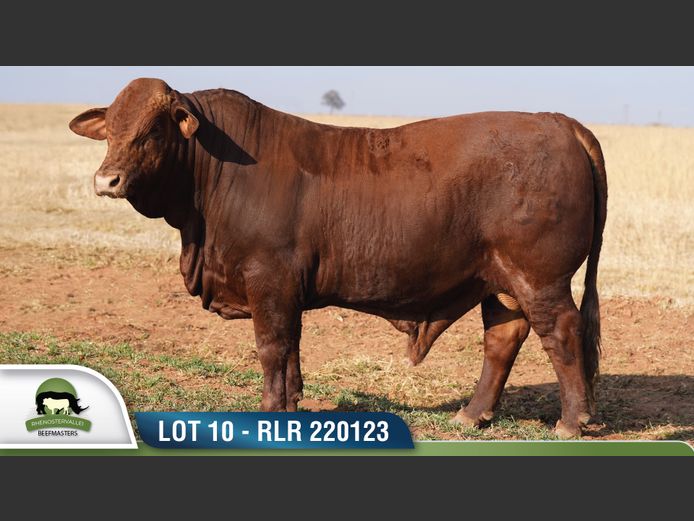 RLR 220123 | RHENOSTERVALLEI