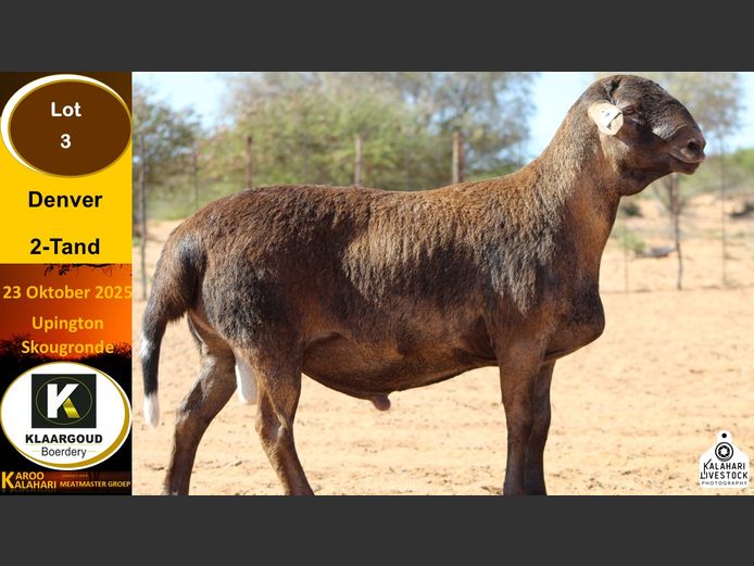 CP 3 | Chris Potgieter & Christia Scholtz - Klaargoud Boerdery