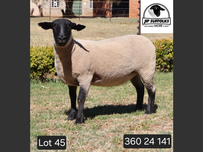 360240141 | J.I. POTGIETER