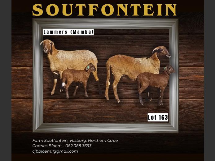 CB 240017 | SOUTFONTEIN MEATMASTERS