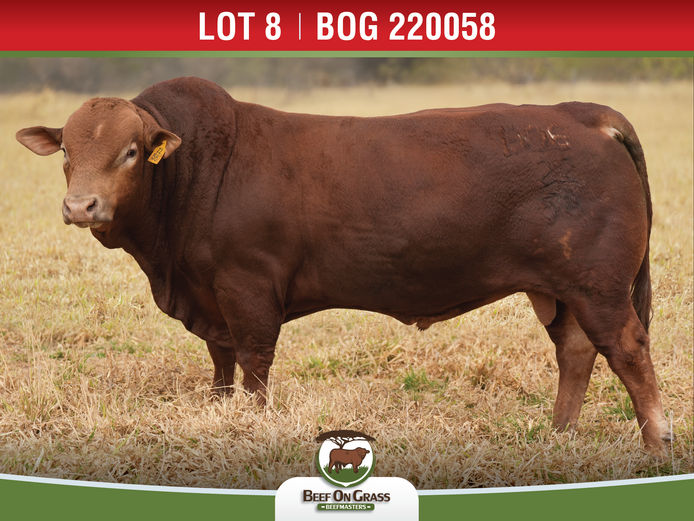 BOG 220058 HH | BEEF ON GRASS PTY LTD