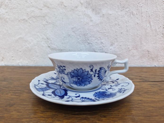 Schirnding Bavaria Blue Onion Porcelain Teacup and Saucer Set