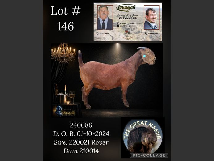 197240086 | Dhidejak Kalahari red stoet