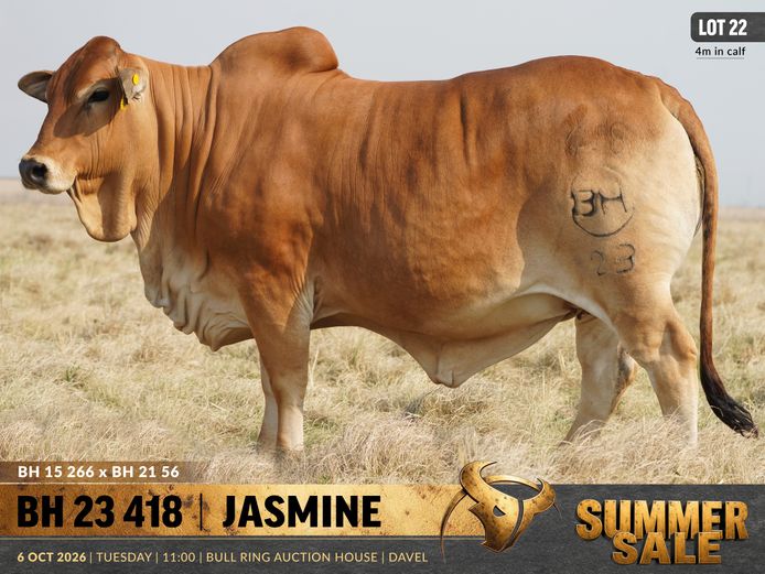 BH230418 | B. HURWITZ FARMING