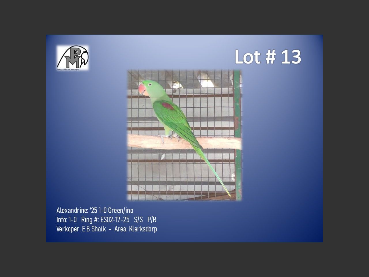 images