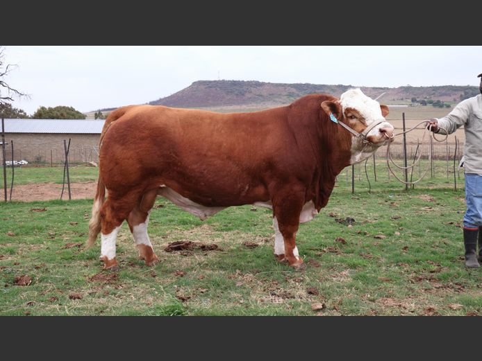 LR221 | Johan Theron