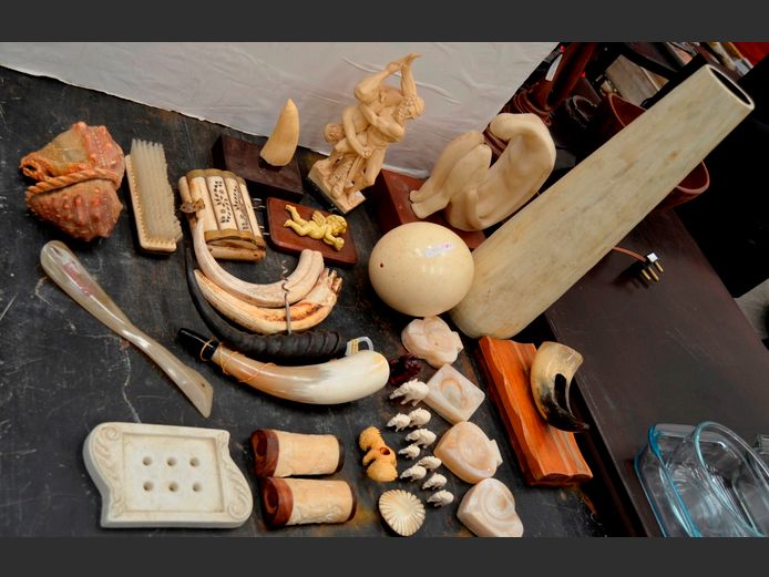 RESIN SCULPTURES, WARTHOG TUSKS, OSTRICH EGG, VASE, etc