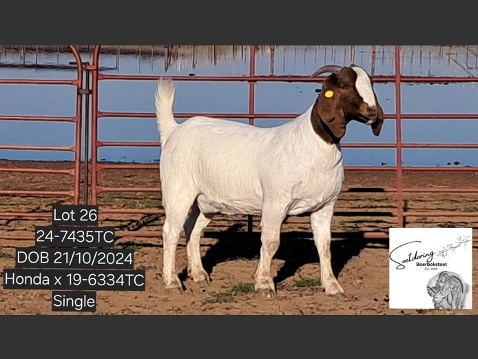 24-7435TC | THEUNS COETZEE
