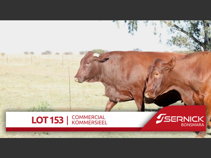 Commercial Animals