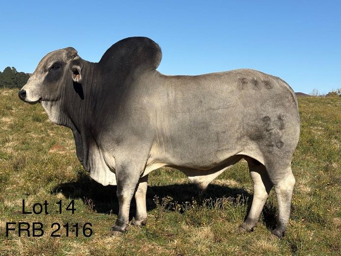 FRB2116 | FALCON RIDGE FARM