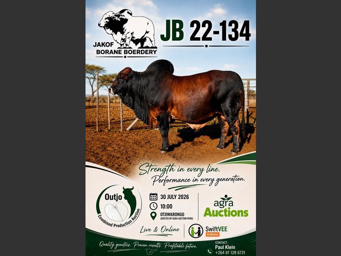22-0134JB | JAKOF BORANE
